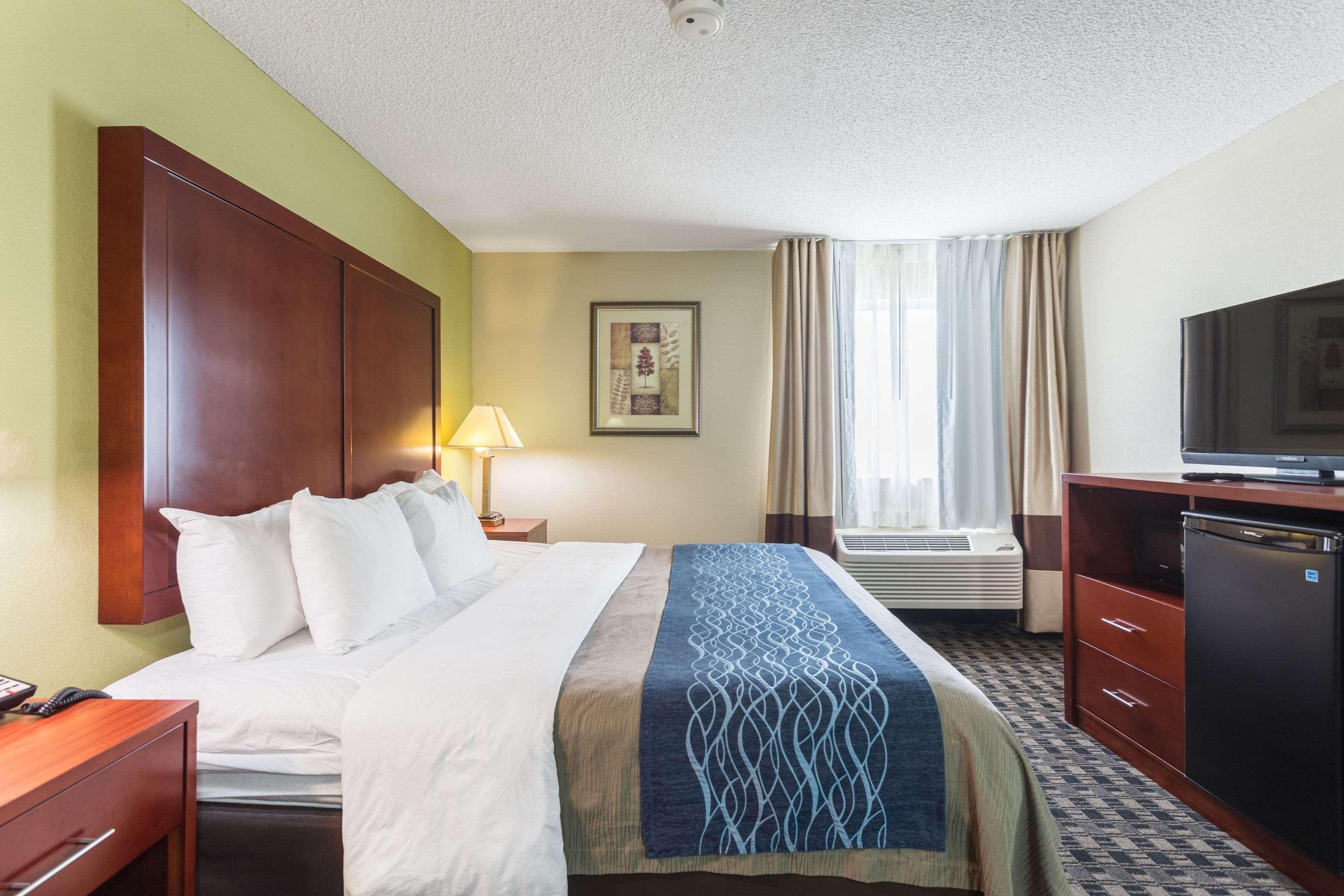 Comfort Inn Decatur Priceville Exterior photo