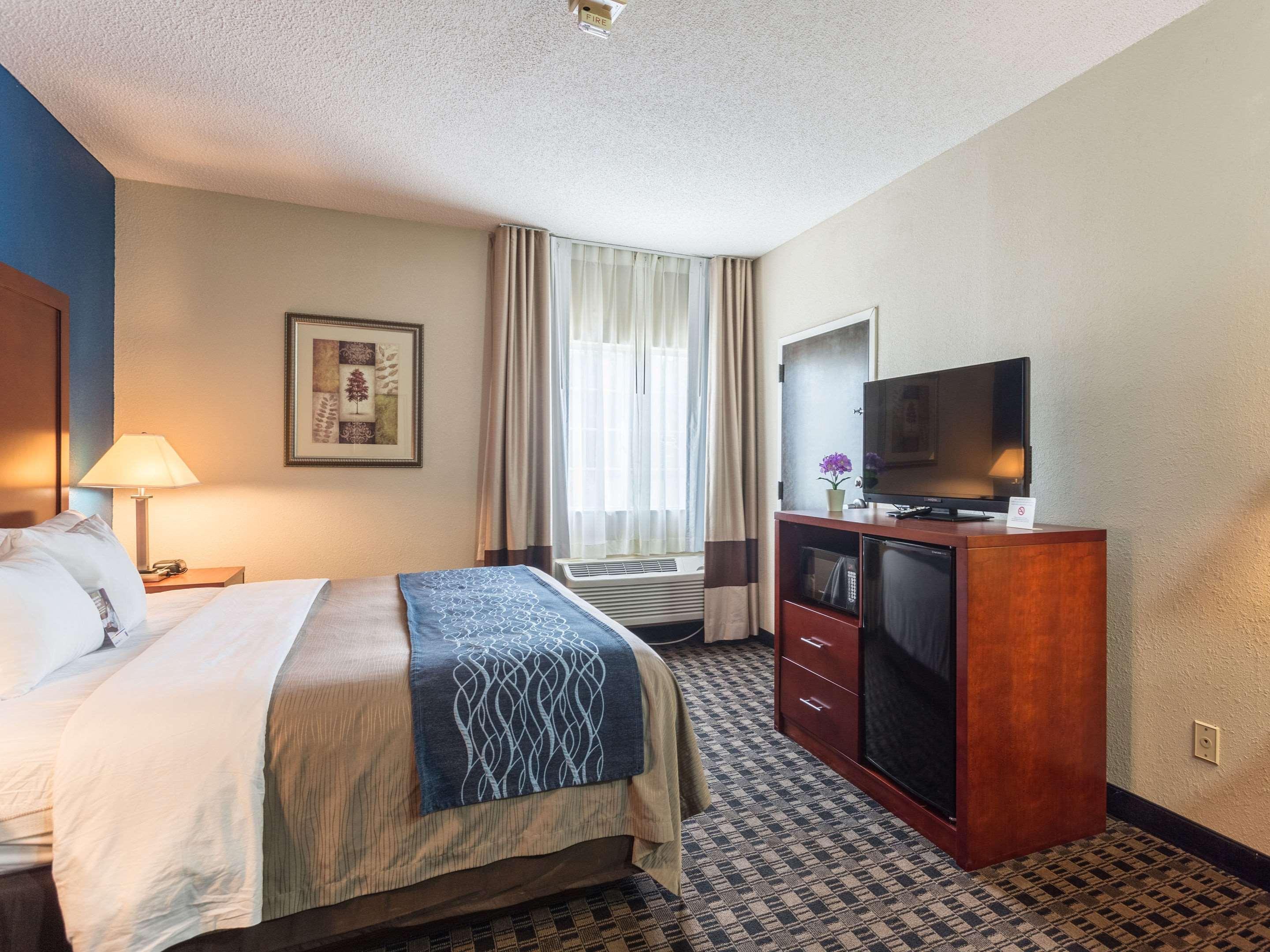 Comfort Inn Decatur Priceville Exterior photo